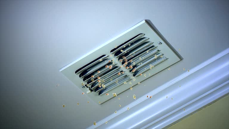 Best Best Air Duct Cleaning Company  in Oxford, NC